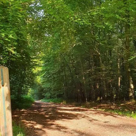 Mobil Pmr Avec Terrasse, 2 Pour 3 Pers. - Api-1-52-548 *