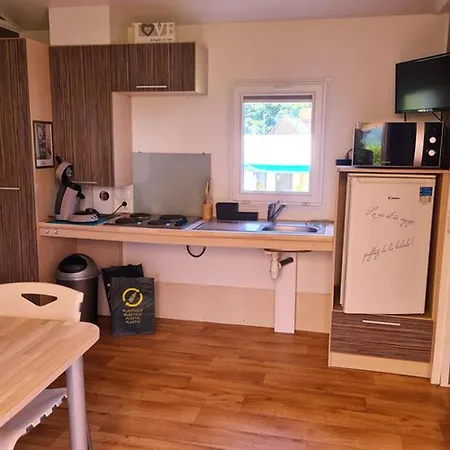 Mobil Pmr Avec Terrasse, 2 Pour 3 Pers. - Api-1-52-548 Les Grandes-Ventes